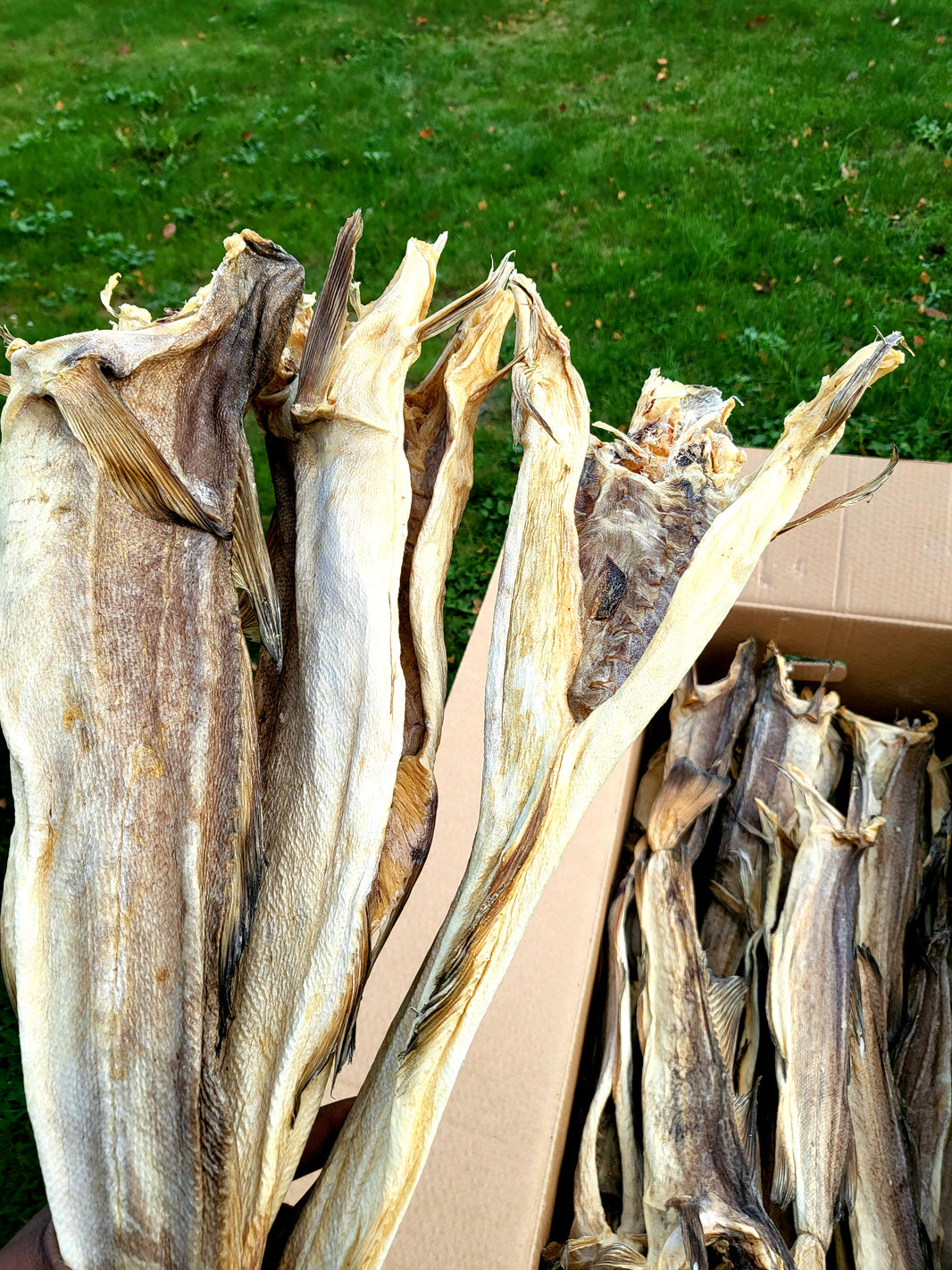 Stocfish of Cod 1kg