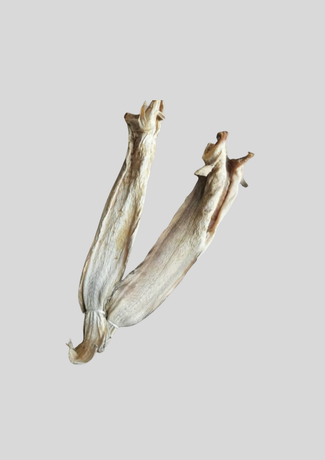 Stockfish of Tusk 20KG