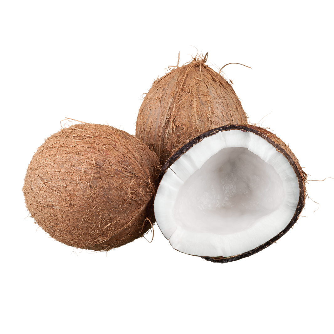Coconut