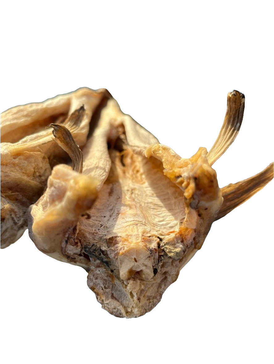 Stockfish of Tusk(Brosme) 20/30cm 45kg