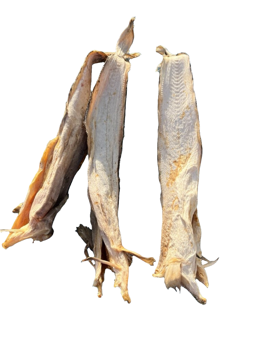 Stockfish of Tusk(Brosme) 20/30cm 45kg