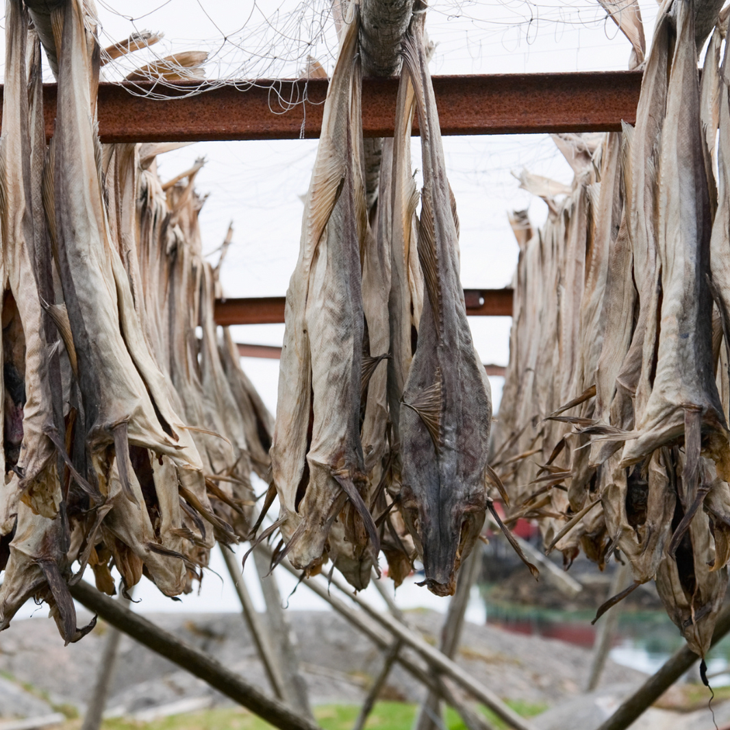 Stockfish of Cod (20kg)